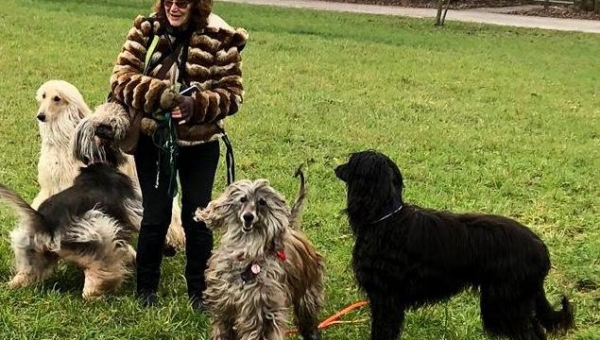 Neujahrsgrüße aus der Schweiz